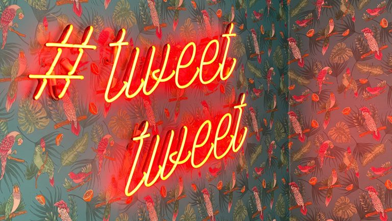 A neon text sign that reads 'hashtag tweet tweet' hangs on a wall covered in bird wallpaper. On the wallpaper, perched parrots look at each other with ferns and other leafy plants.