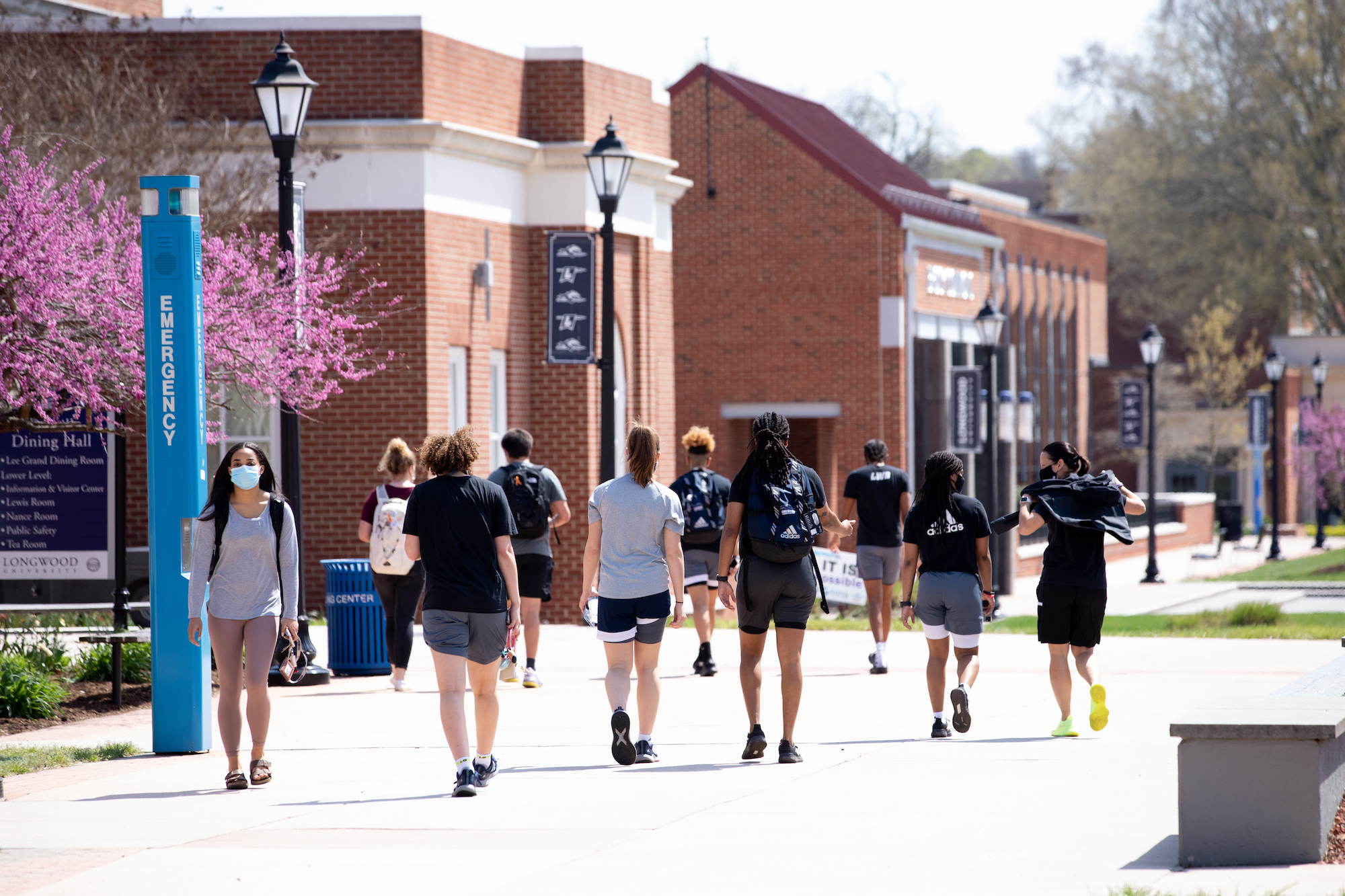 Prioritizing Mental Health Support in Community Colleges: Key Data from 2023