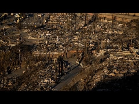 The Harsh Truth Behind the Los Angeles Wildfires (Stephanie Pincetl)