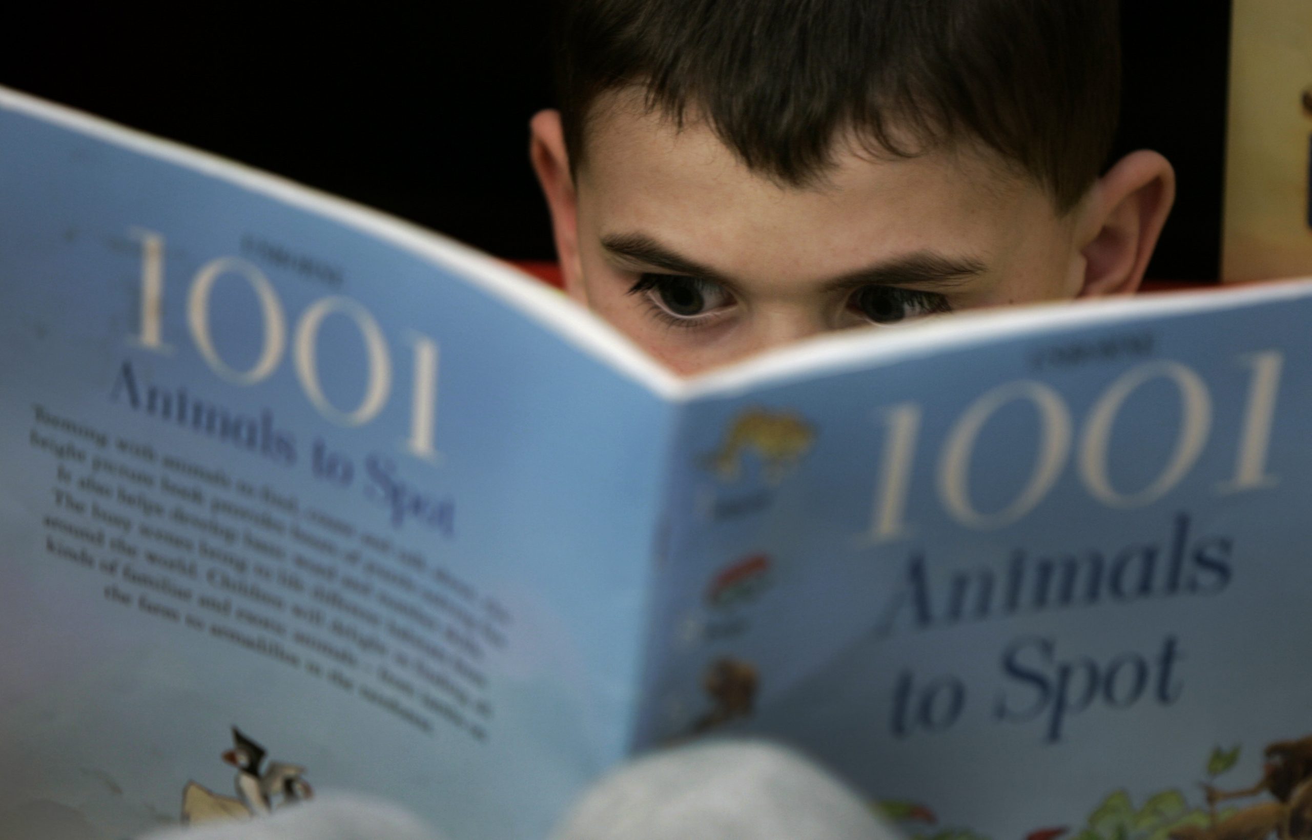 The buzz around teaching facts to boost reading is bigger than the evidence for it