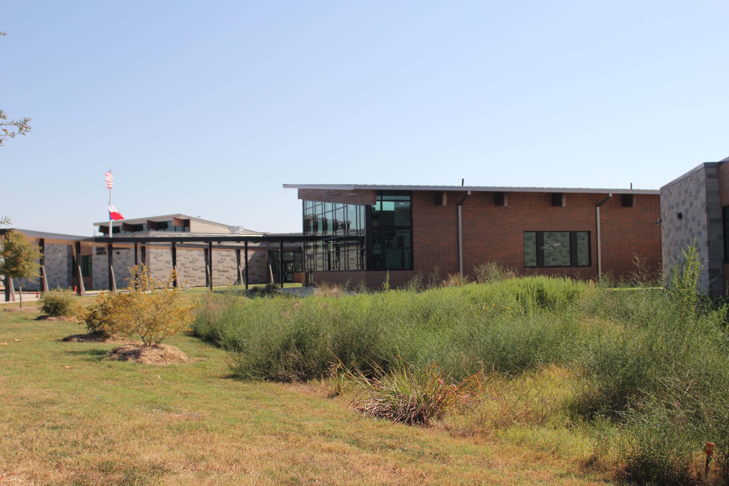 Using school land to fight climate change