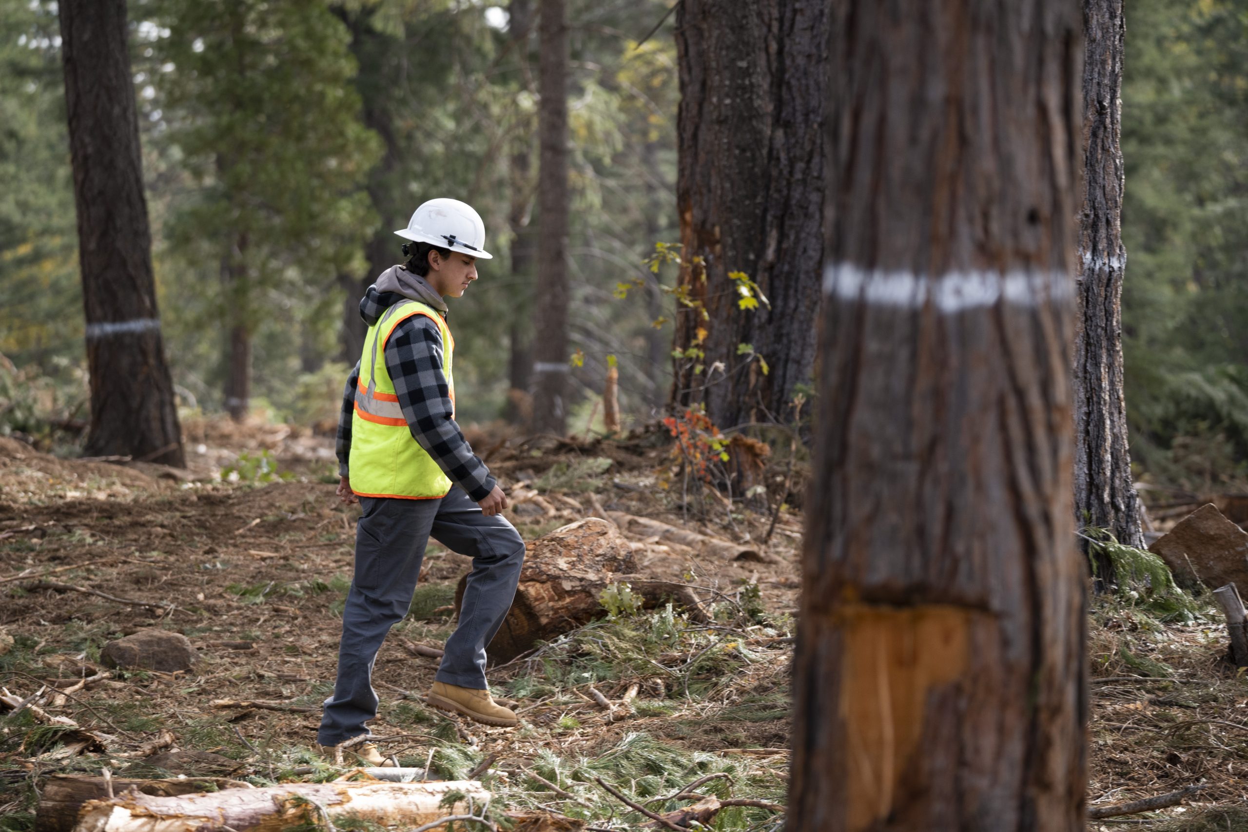 Community colleges are providing new opportunities for learning on the job in logging and oystering