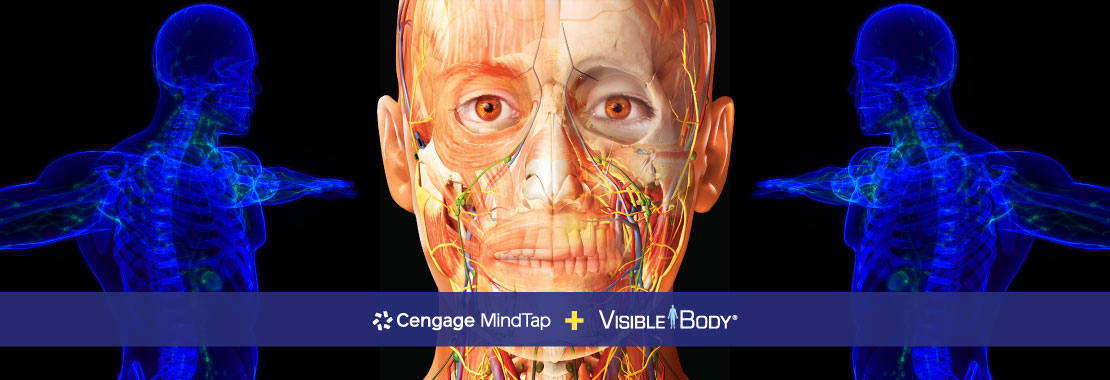 A Deep Dive into MindTap for Anatomy and Physiology: Now With Visible Body
