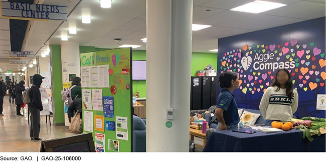 US Department of Education's Failure to Address Food Insecurity Among College Students (Government Accountability Office)