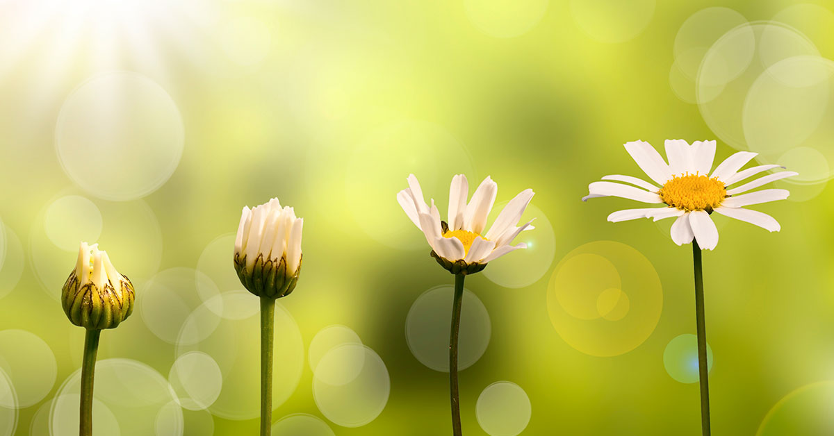 Adapting With Purpose | CUPA-HR