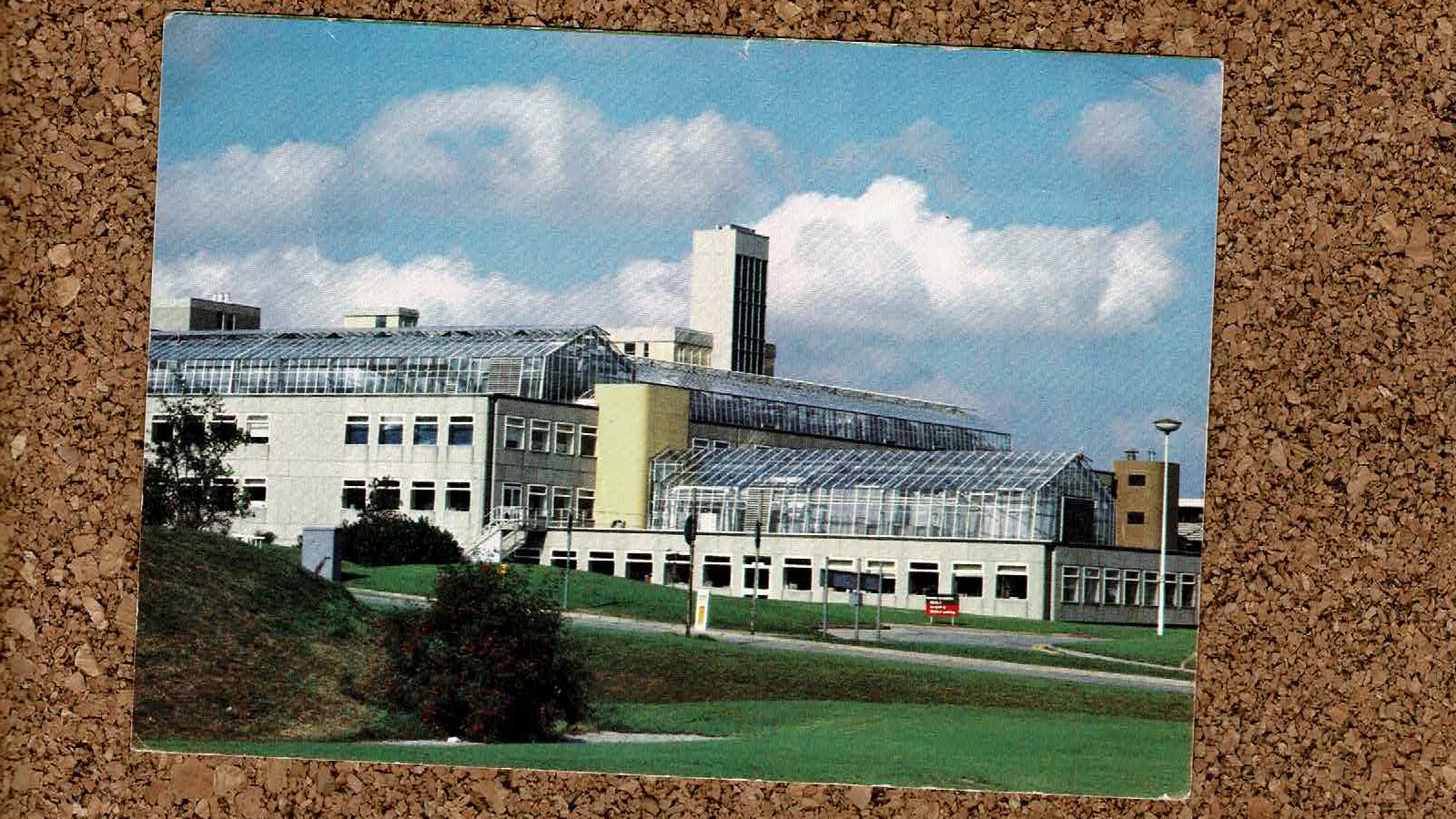 166UWEoncork