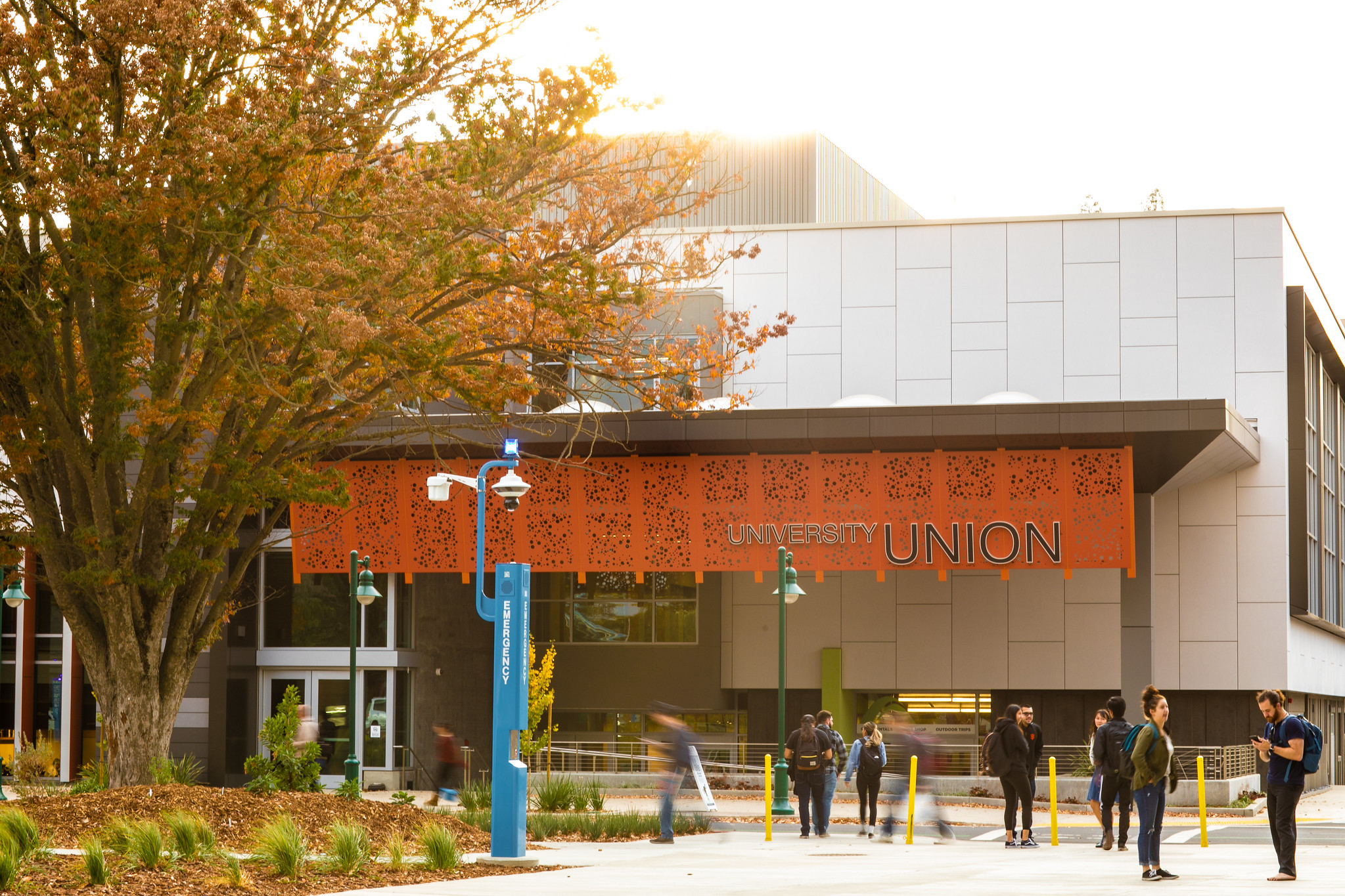 How Major Restrictions Silently Reshape Student Pathways