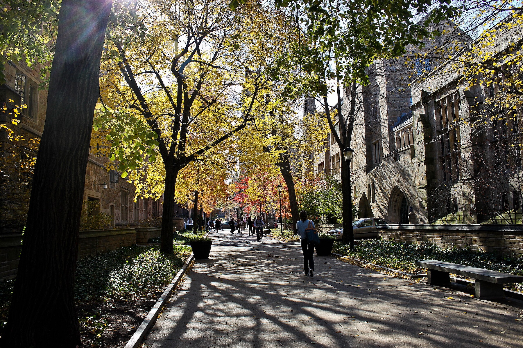 No, Endowments Are Not the Answer to Federal Attacks on Higher Ed