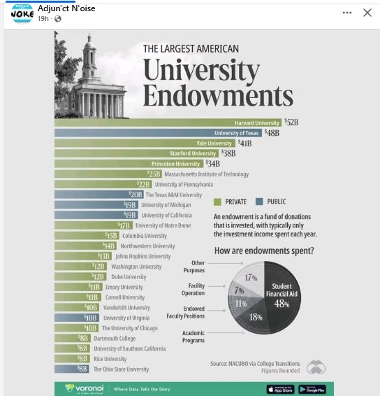 The Largest American University Endowments (Adjunct Noise)