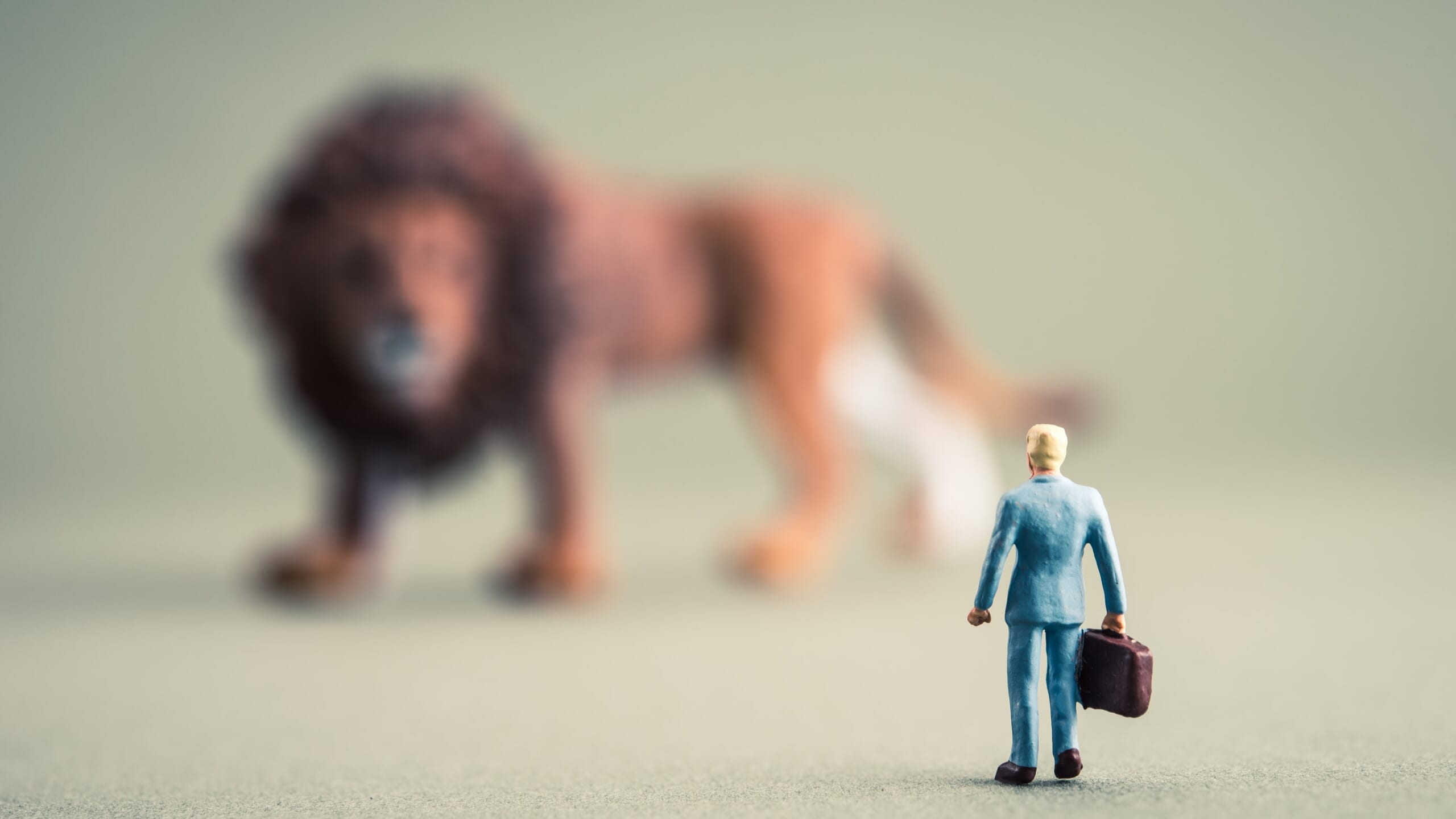 Can we use LEO in regulation?