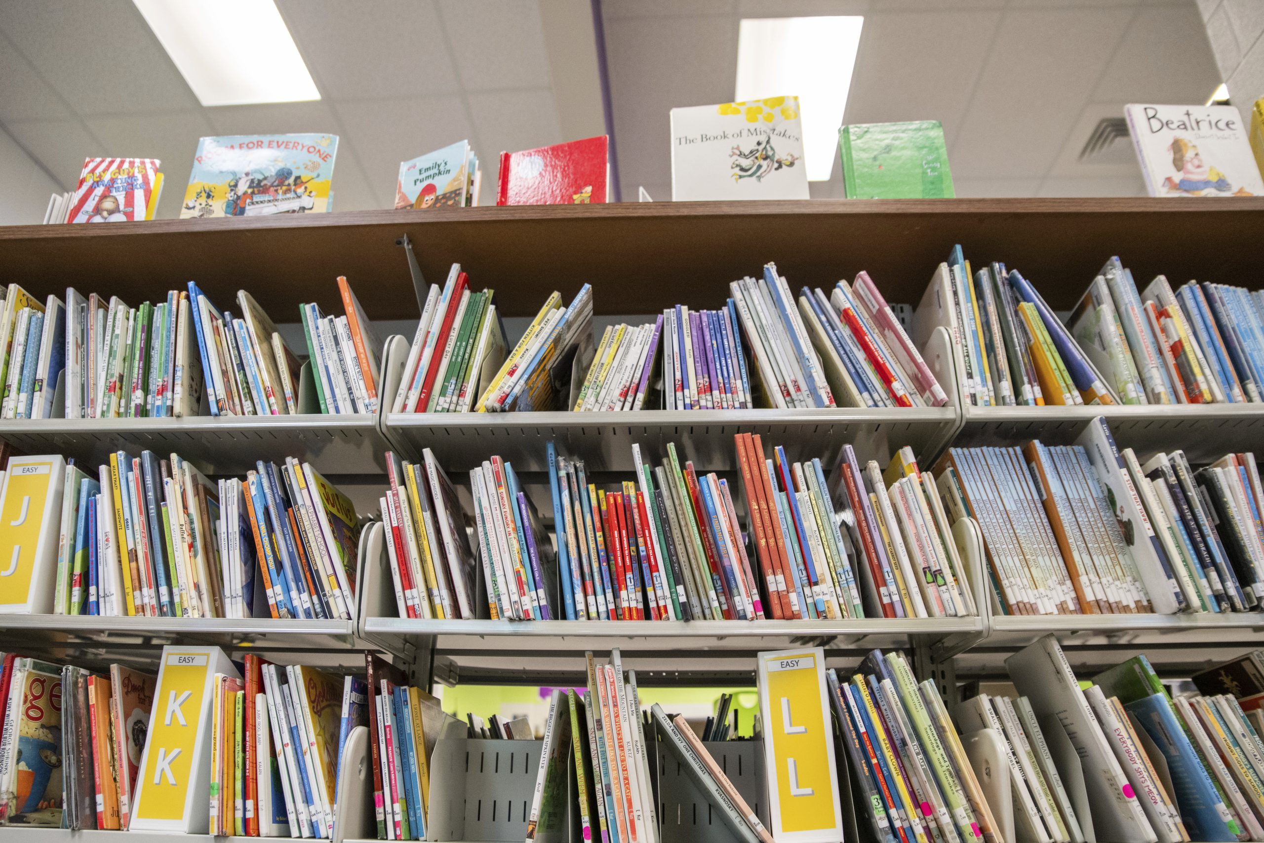 Book bans draw libraries into damaging culture wars that undermine their purpose
