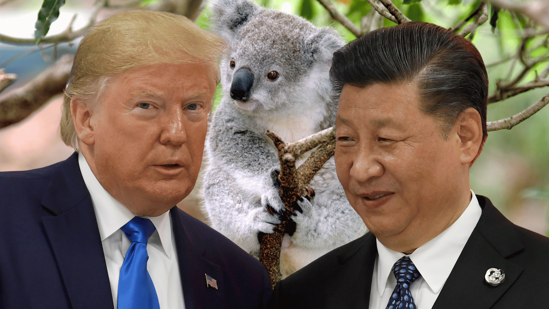 Decoder Replay: Australia waltzes with two superpowers