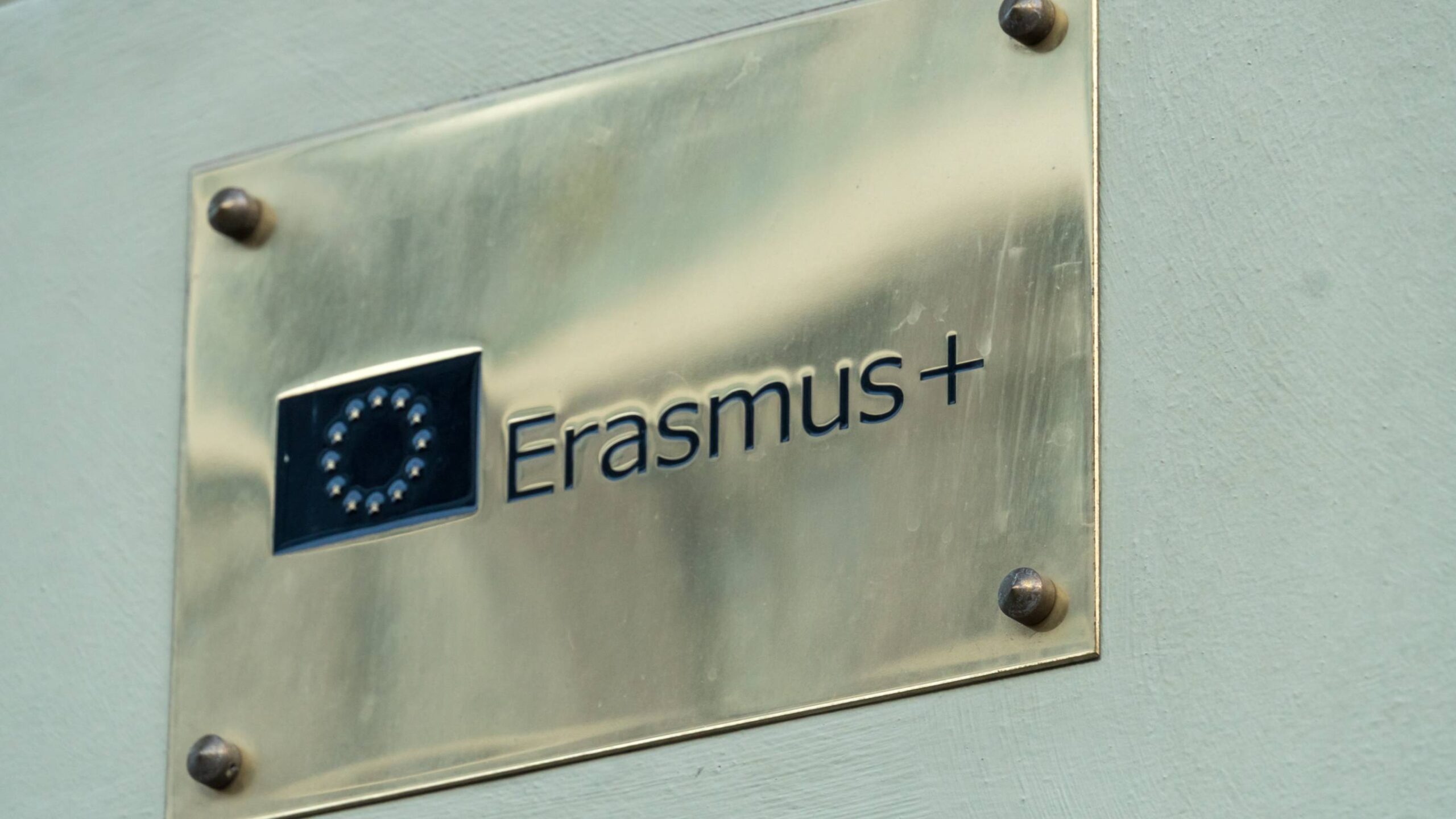 Euro visions: What the hell just happened?