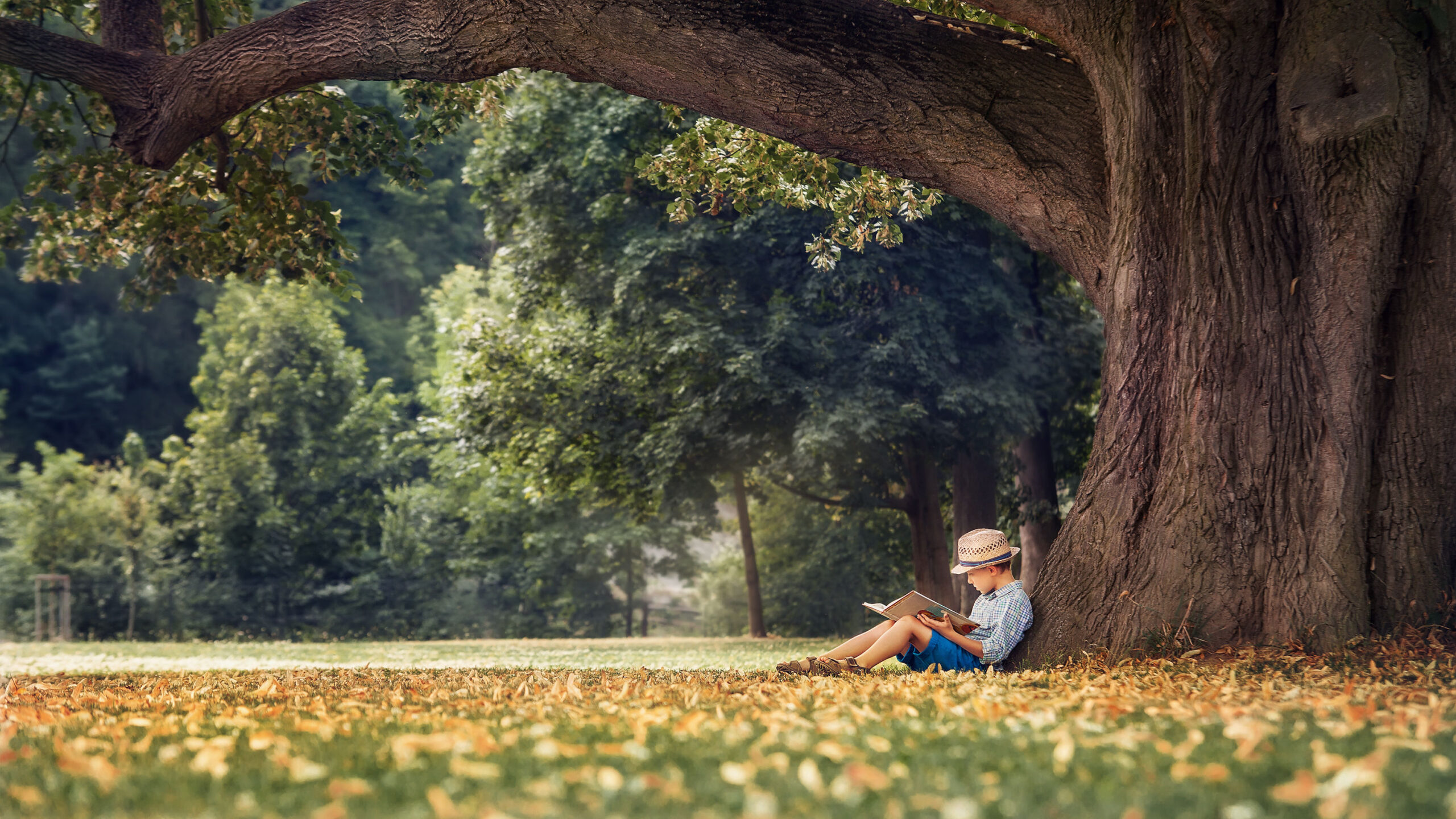 Our future may depend on the humanities