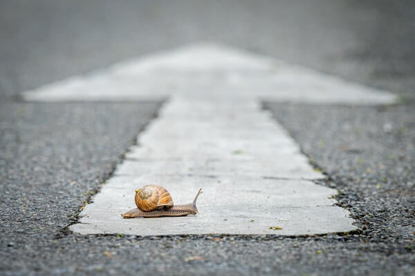 Why Academics Need to Slow Down (opinion)