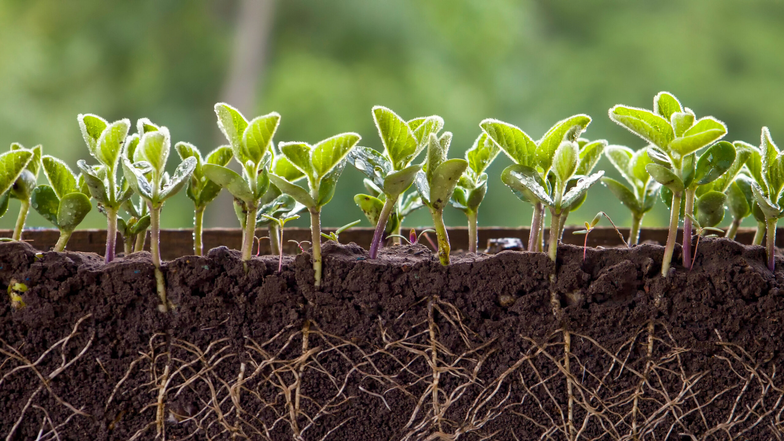 From playground to lecture hall – working with schools to support wellbeing throughout education
