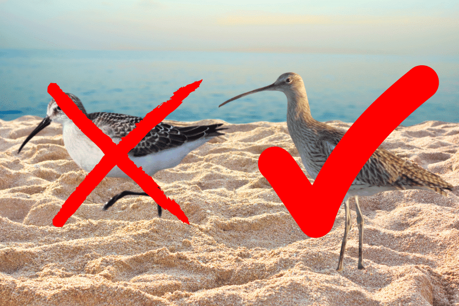 Top Tips: To err is human