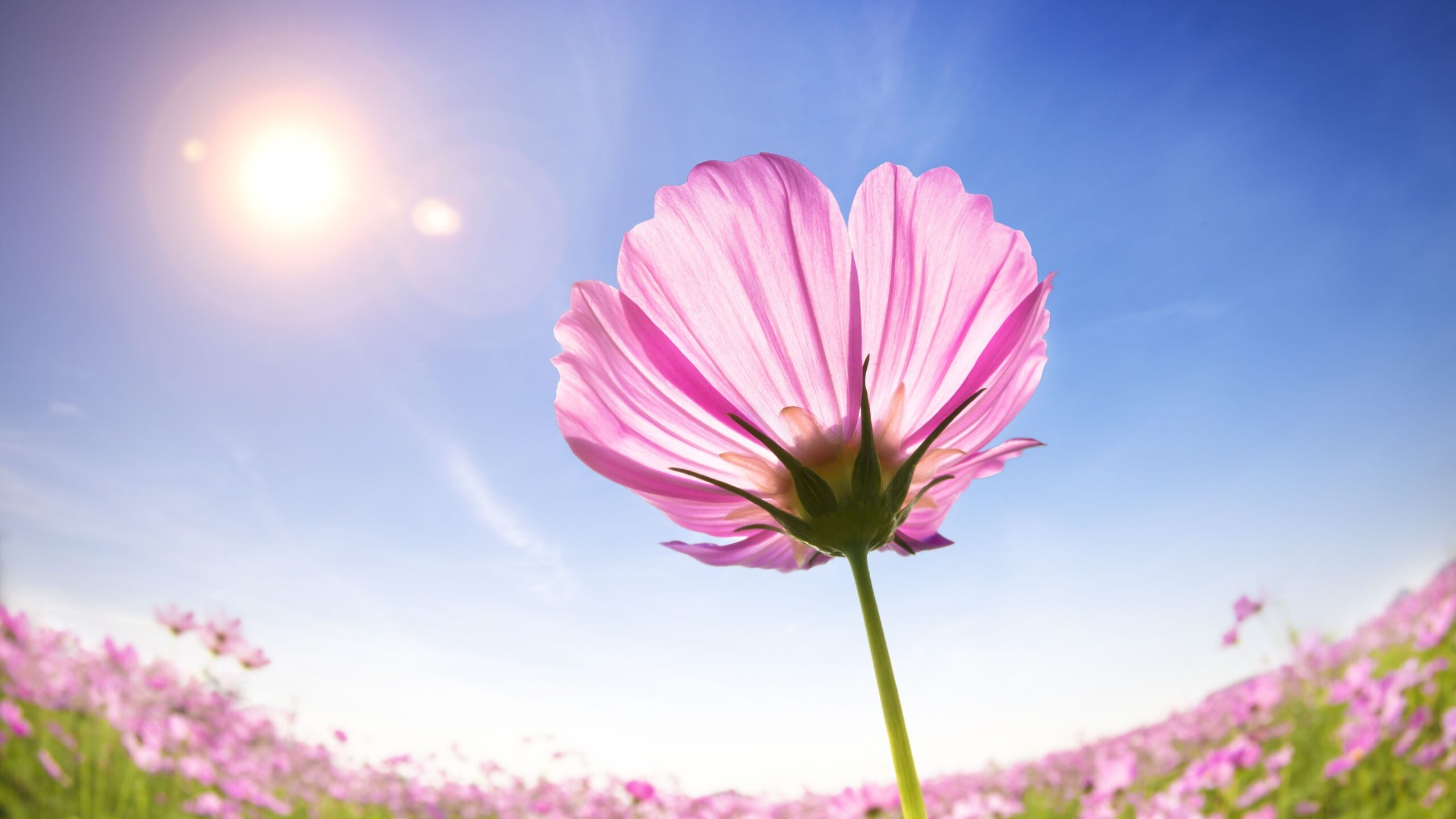 To make real progress on widening participation in higher education, we need a new mission