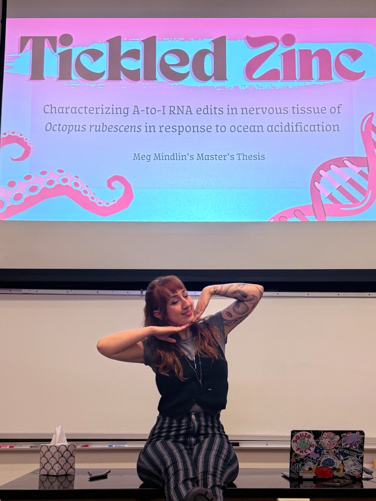 Meg Mindlin sits on a desk at the front of a lecture hall. She's just defended her master's thesis, titled Tickled Zinc. On the screen behind her is a beautiful title slide for her research presentation which features original art.