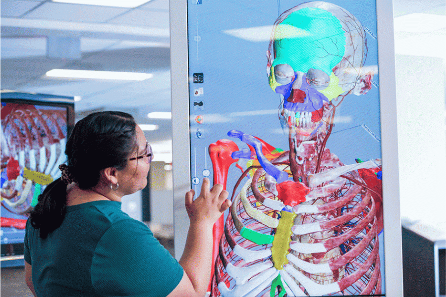 At the library you can take out a book … or dissect a body?