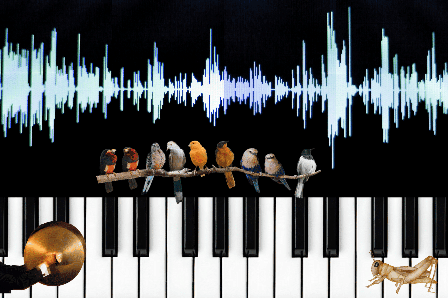 Can you make your podcast sound great?