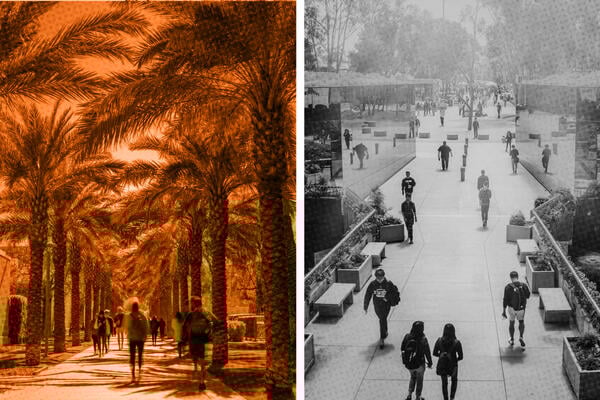 DOJ Deems Definition of HSIs Unconstitutional, Won’t Defend