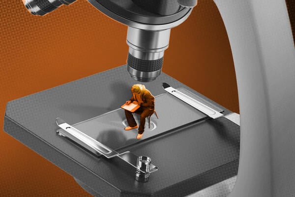 Financial Aid Advisers Question Trump’s ID Verification Efforts