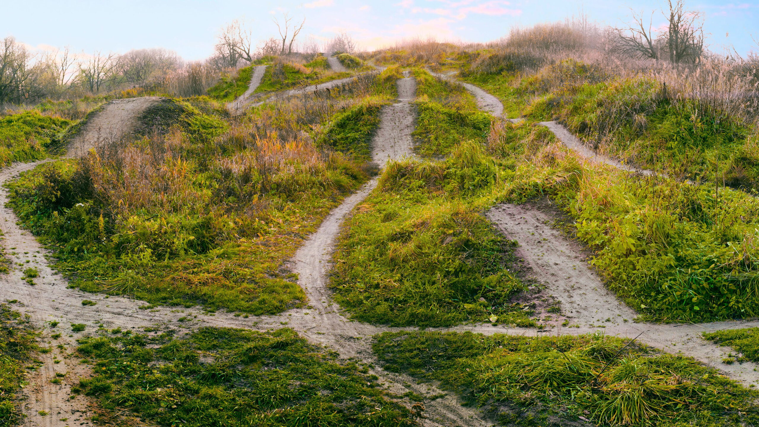 Higher education could make space for many types of leader and ways of leading