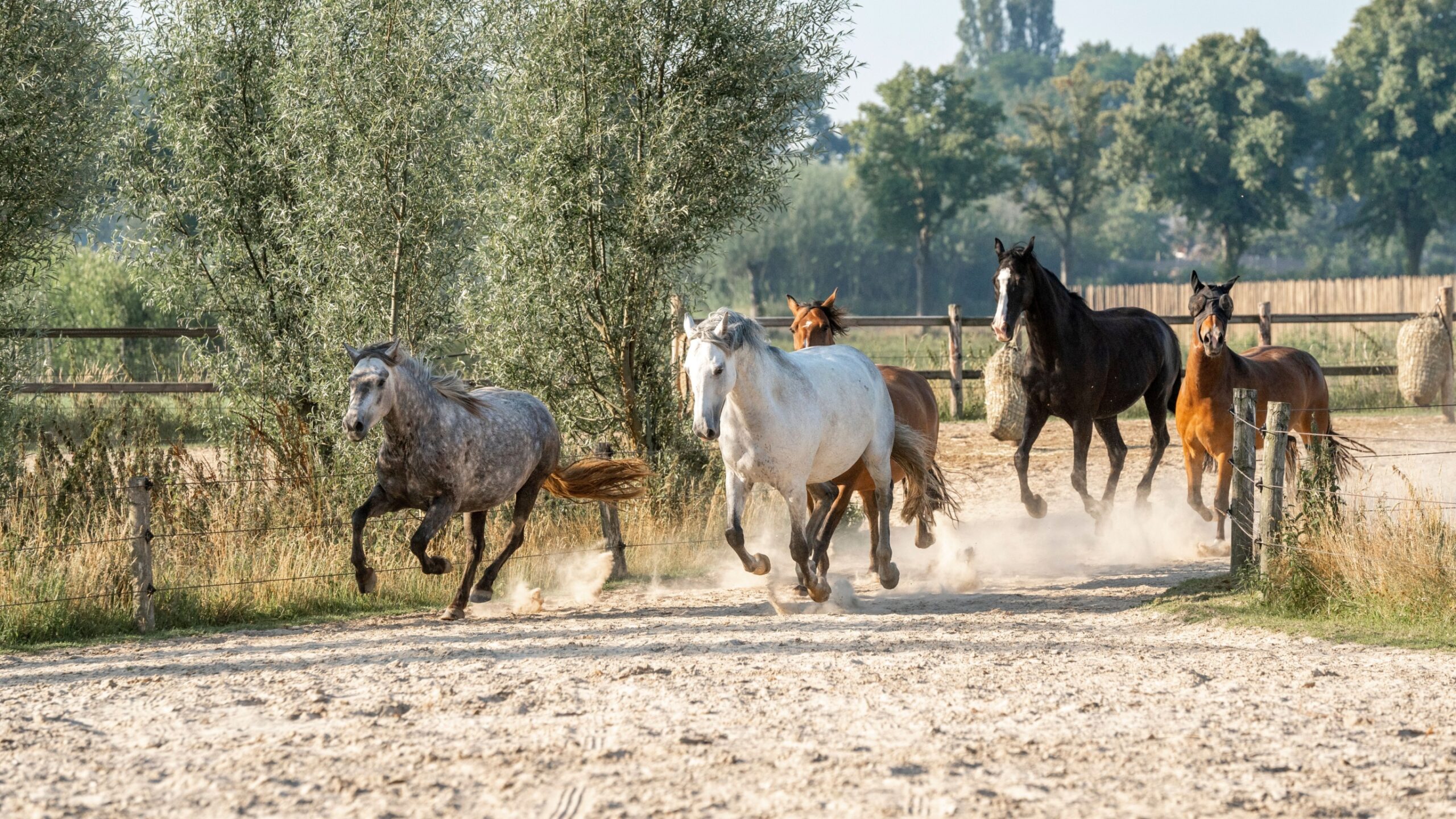 Refocusing apprenticeships towards younger learners will require a renewed focus on student support