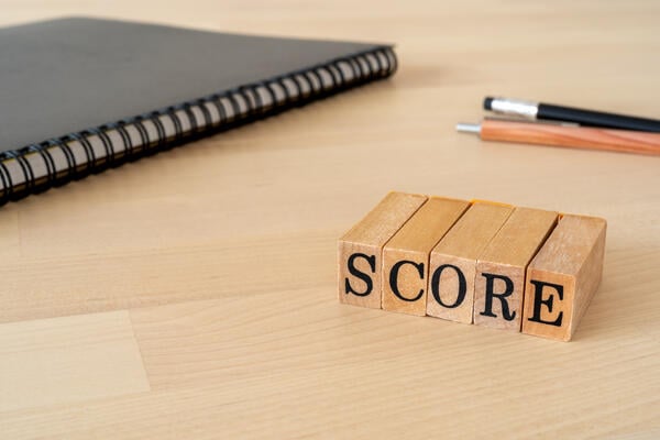 Scoring the AP English Exam: A Diary (opinion)