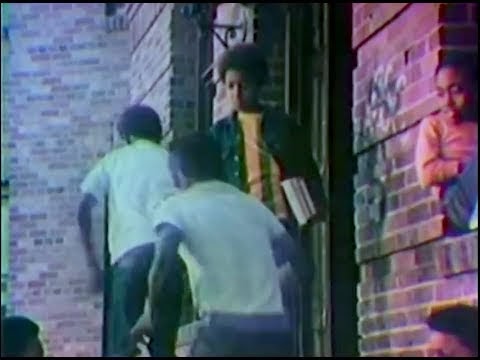 A Mind Is a Terrible Thing to Waste