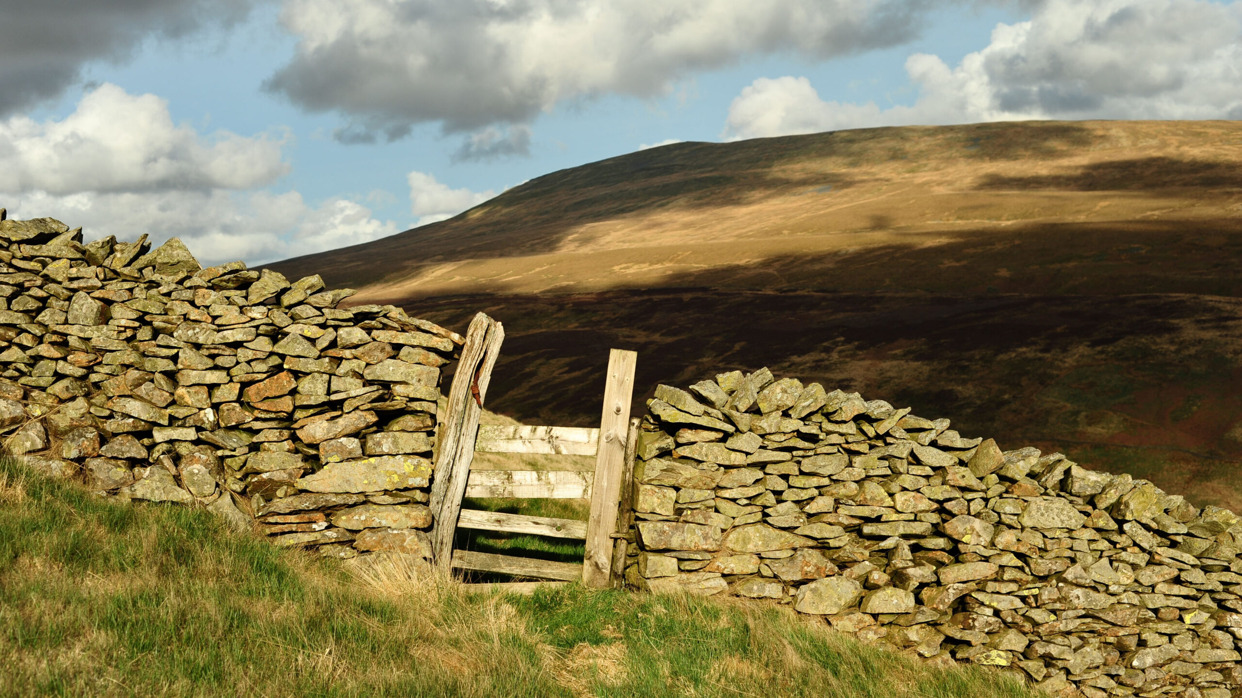 Building collective capacity to defend and celebrate HE