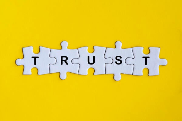 The Trust in “Trustee” (opinion)