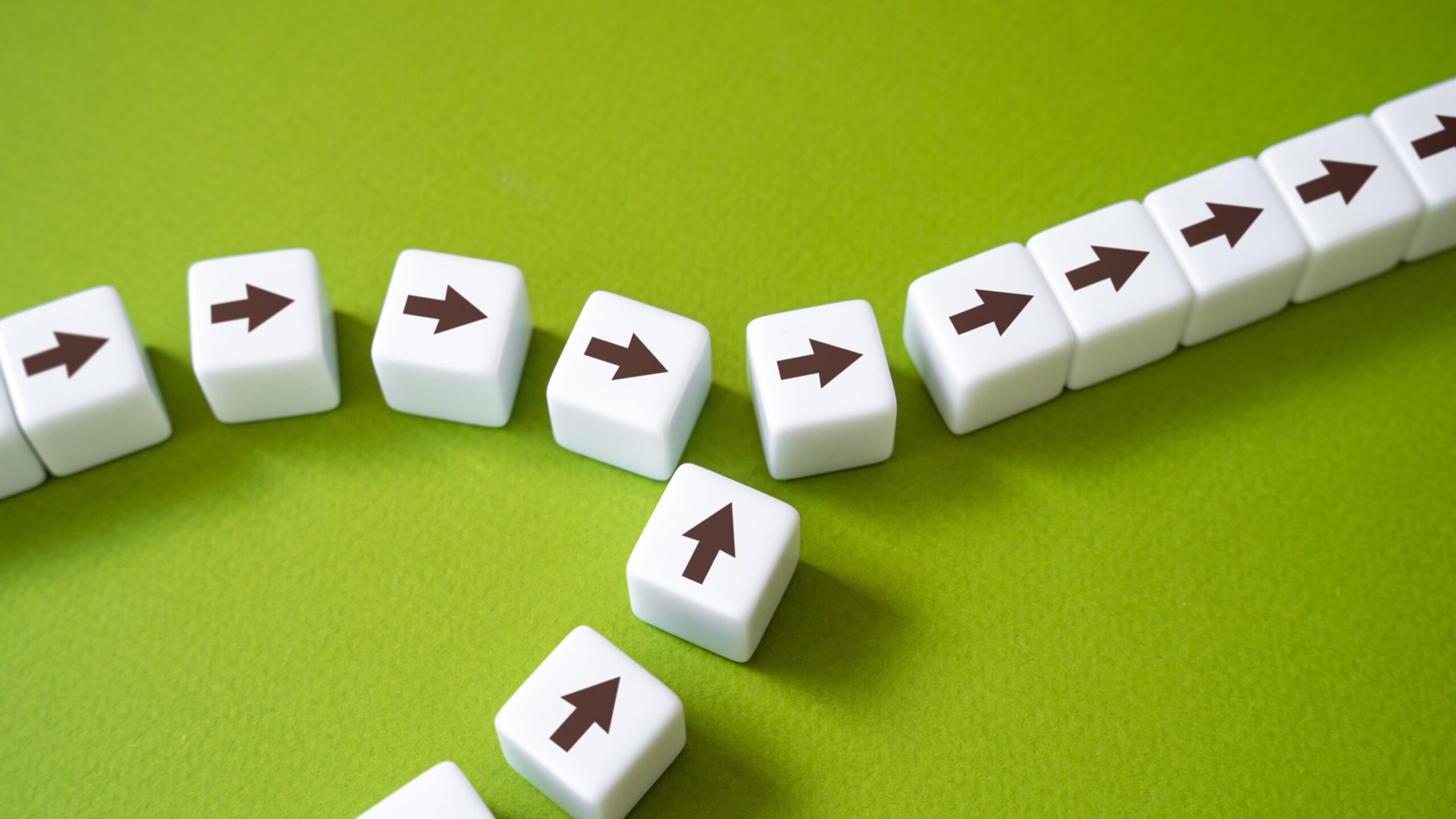 The first multi-university group arrives