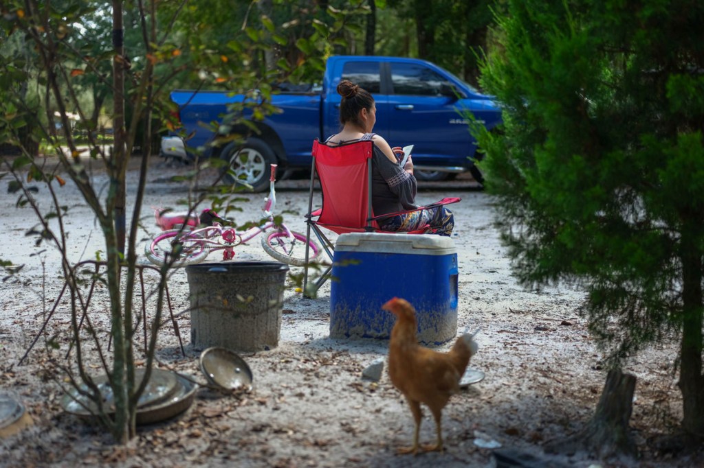 A pregnant woman sits in a red folding chair outdoors near a blue truck, with a chicken walking in the foreground and trees around her.