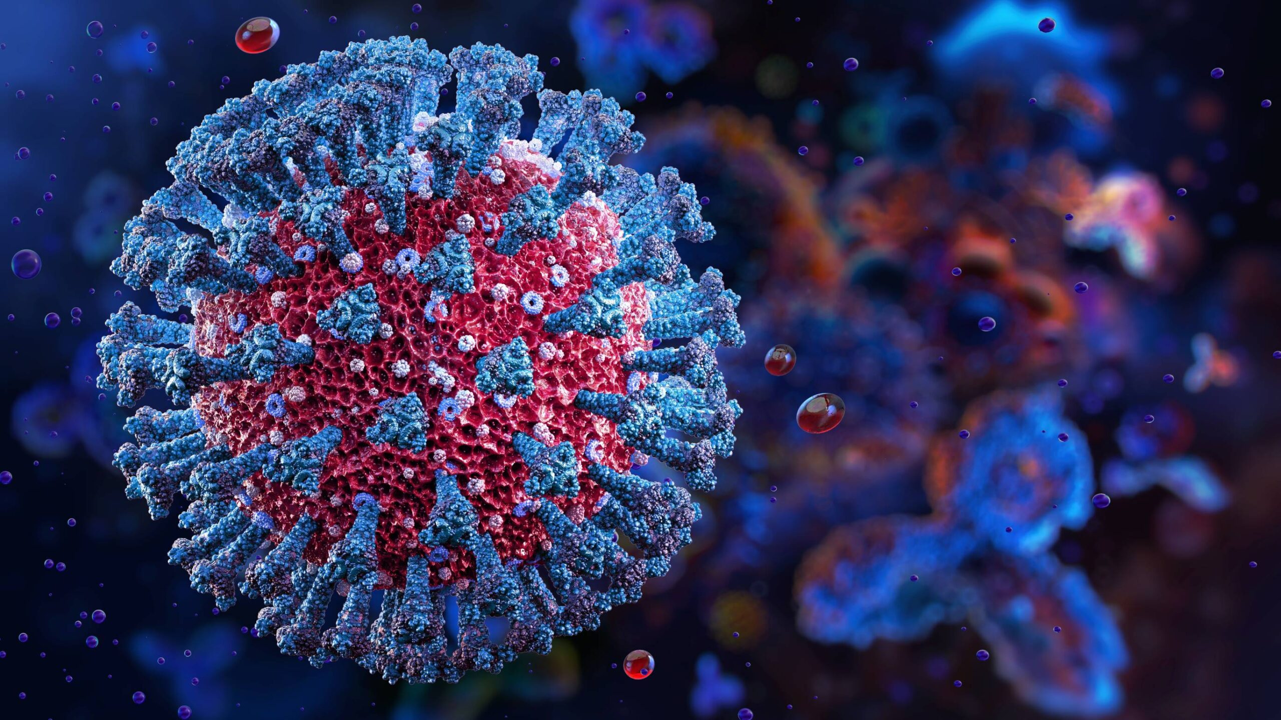 A generation of students has been failed and forgotten again