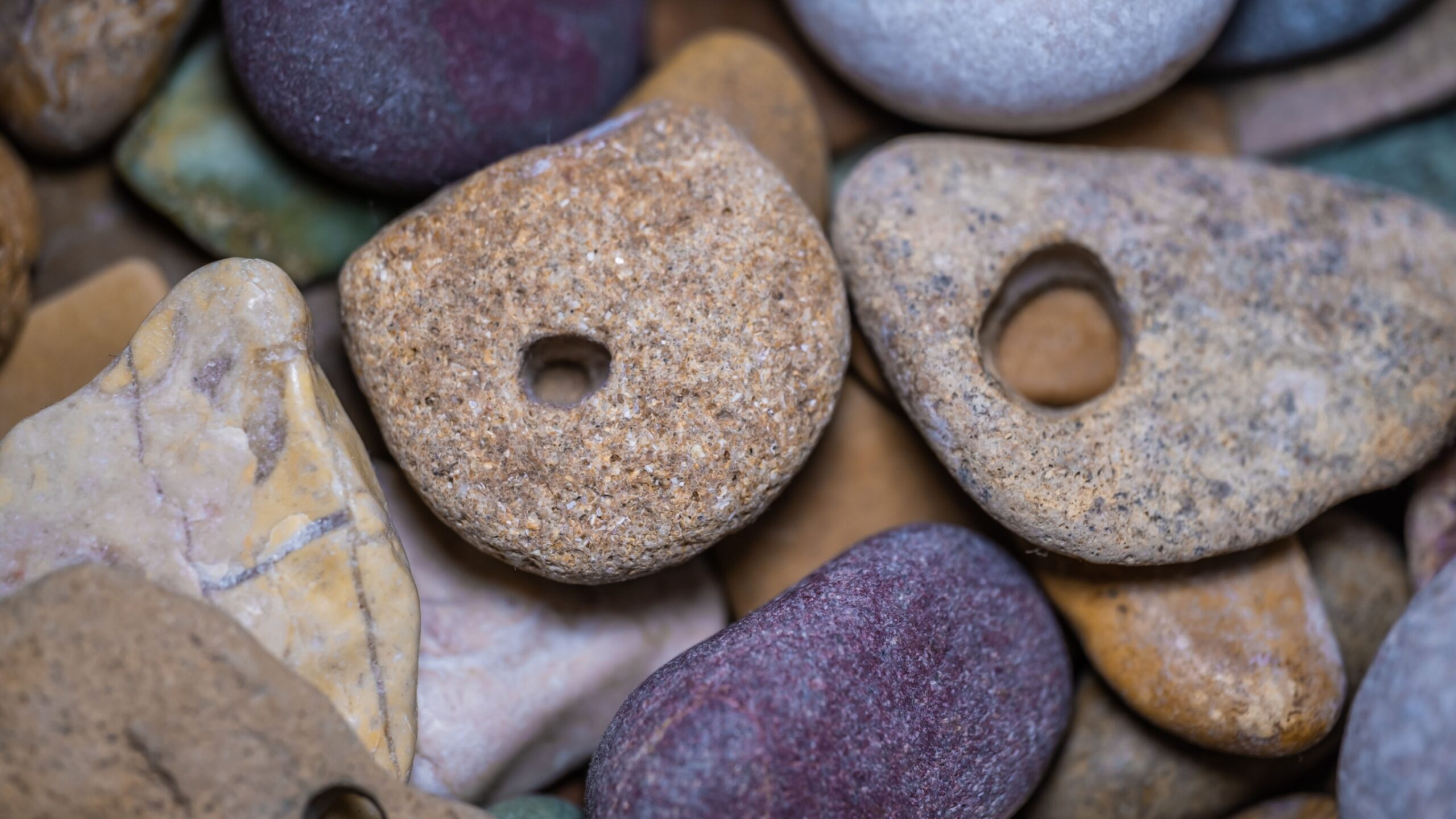 A university system reliant on international students has an obligation to understand them