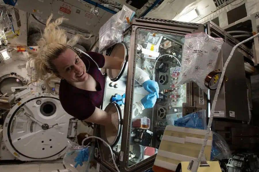 For World Space Week it’s time to look up