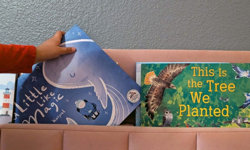 Nevada Funding for Dolly Parton Book Program in Clark County Dries Up – The 74