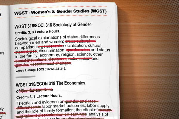 Texas Systems Review Course Descriptions, Syllabi