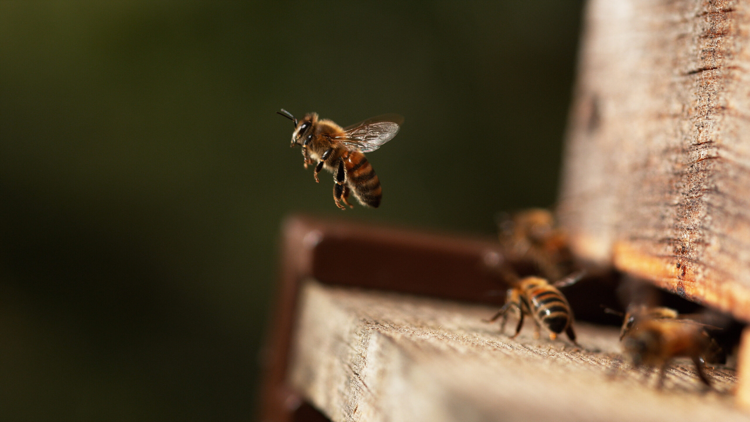 The higher education sector needs an honest broker to support structural change