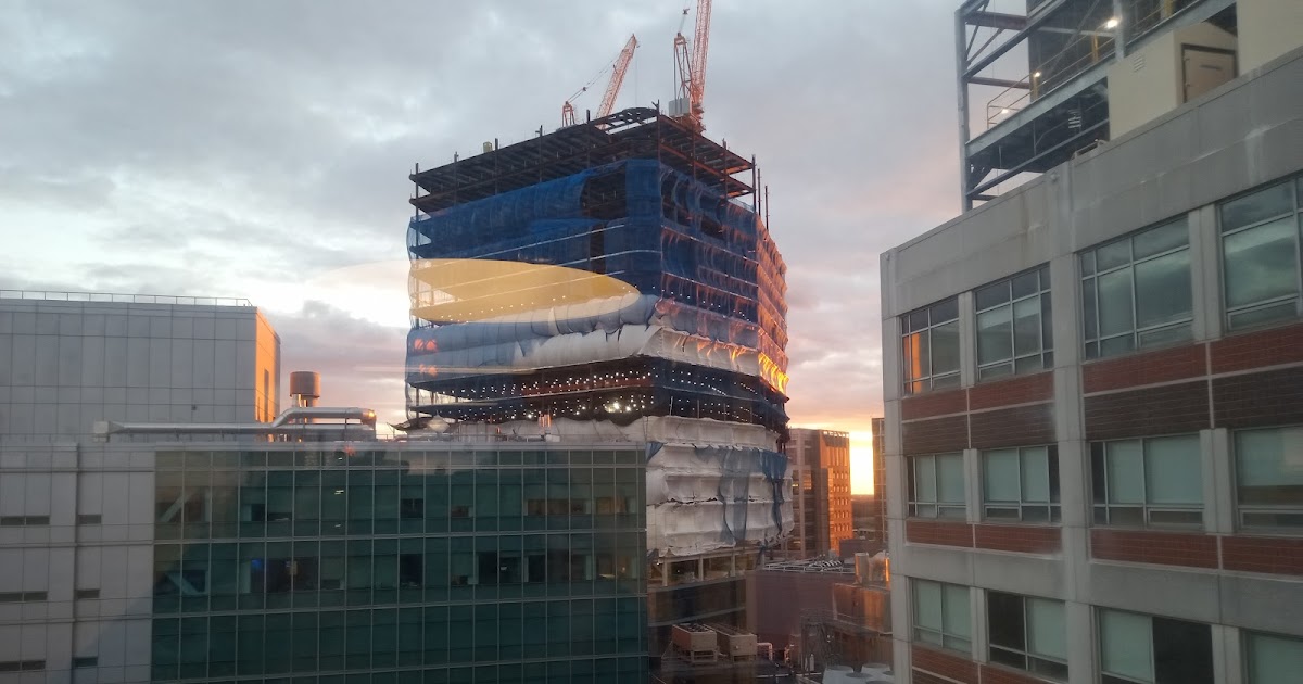 Medugrift and the price makers in higher education