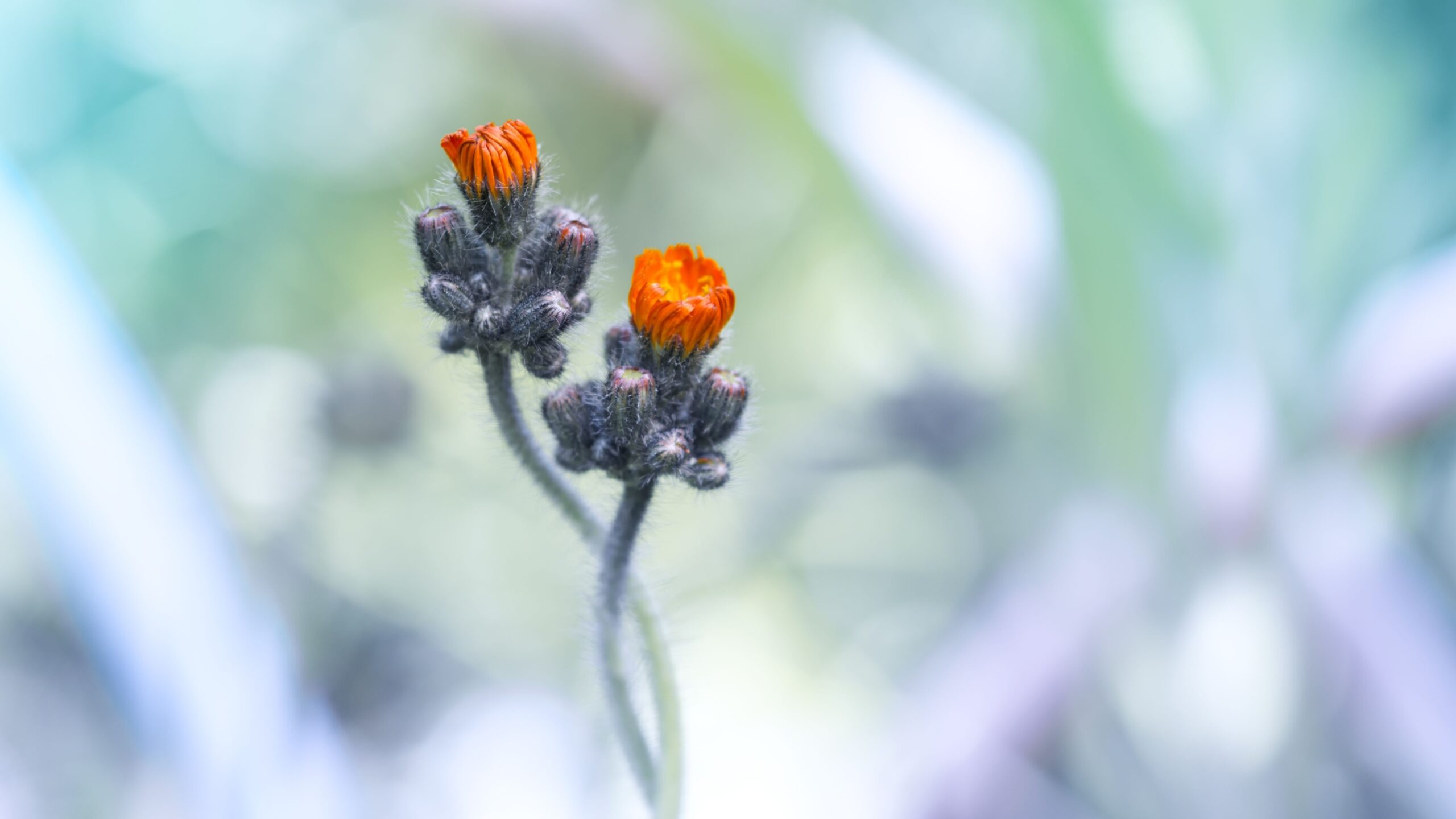 Labour takes steps to bring higher education and local skills closer together