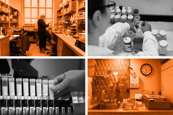 How 2025 Changed Research and What’s Ahead