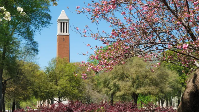 Alabama faculty and students file appeal to block anti-DEI law