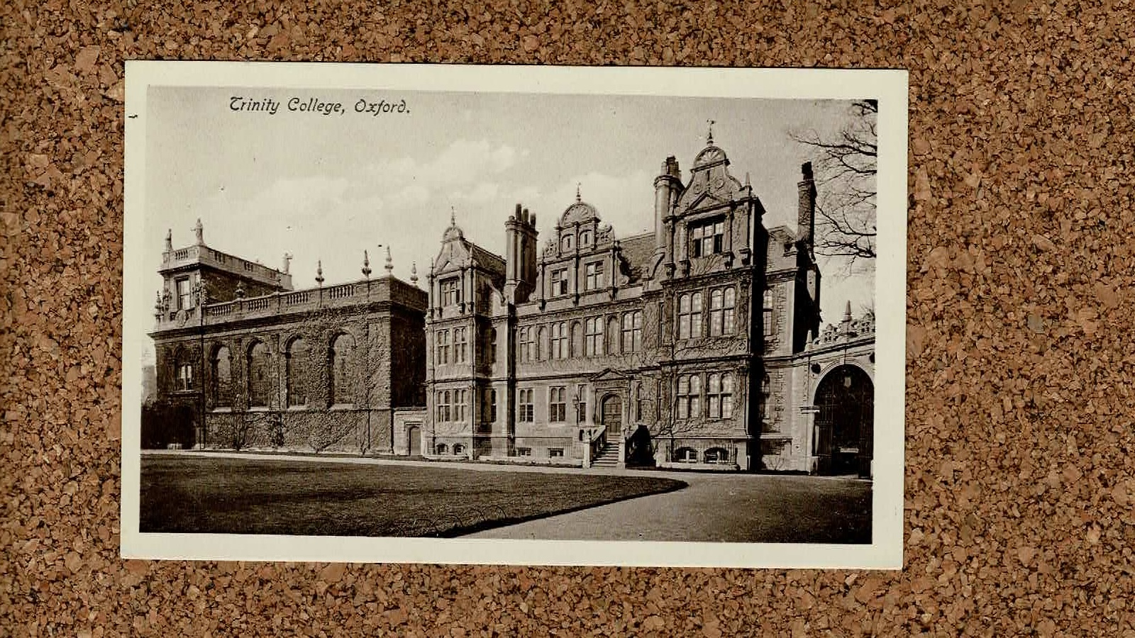 195oxfordtrinityoncork