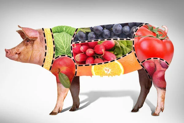 College Dining Halls Embrace Plant-Forward Menus