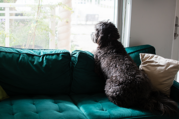 About to graduate and feeling anxious