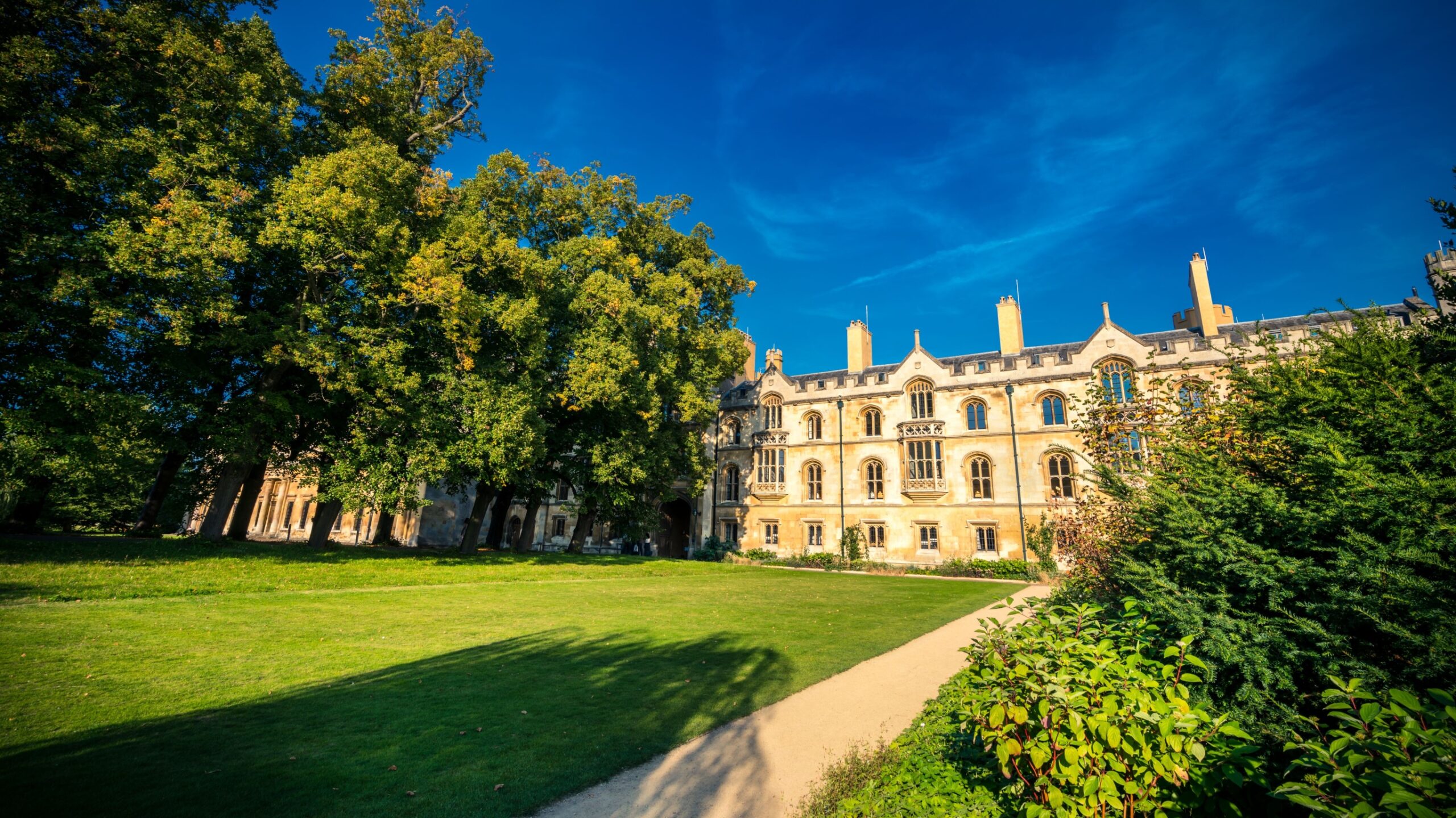 What is going on at Trinity Hall?