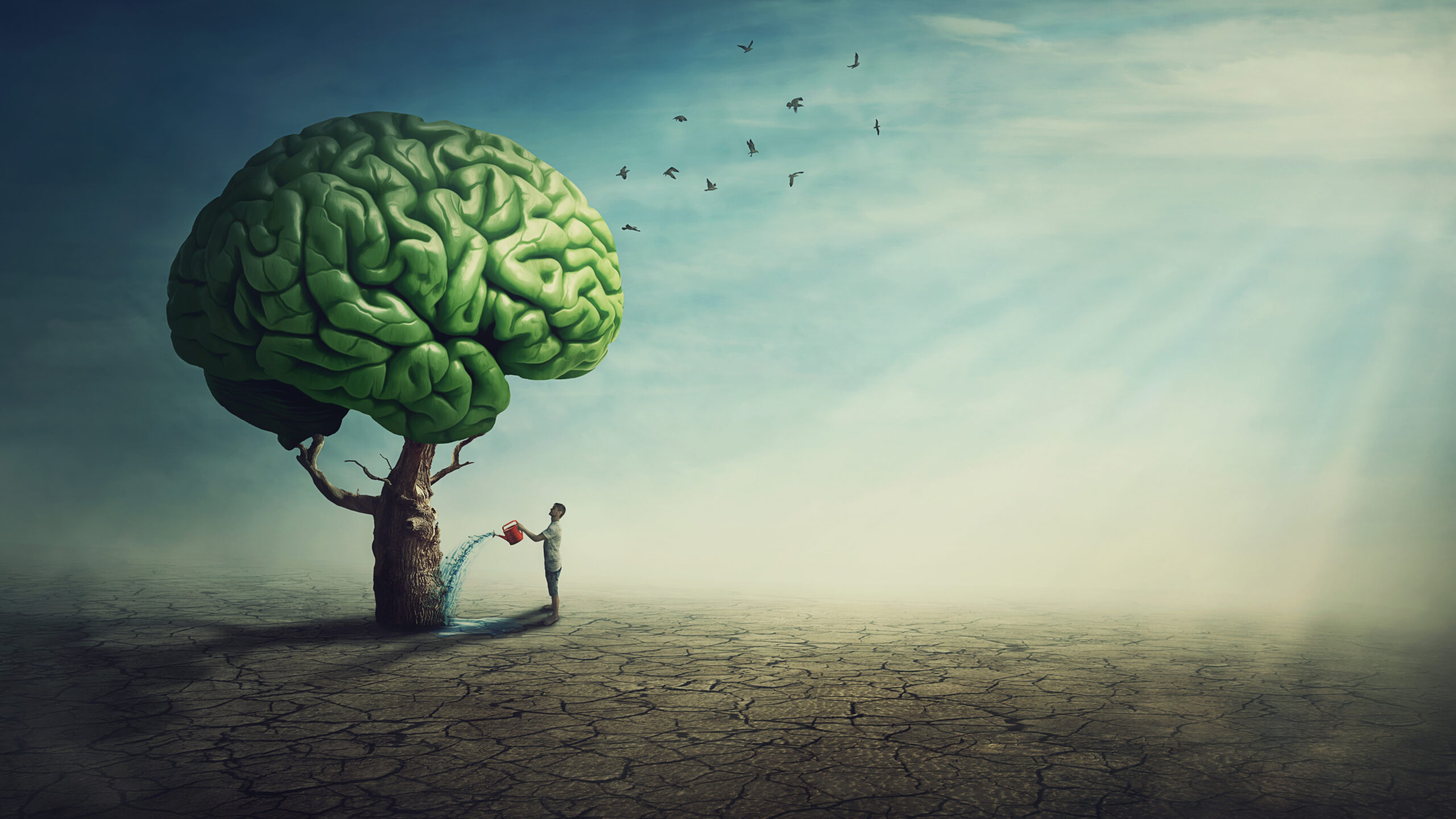 Educating for humans in the lead